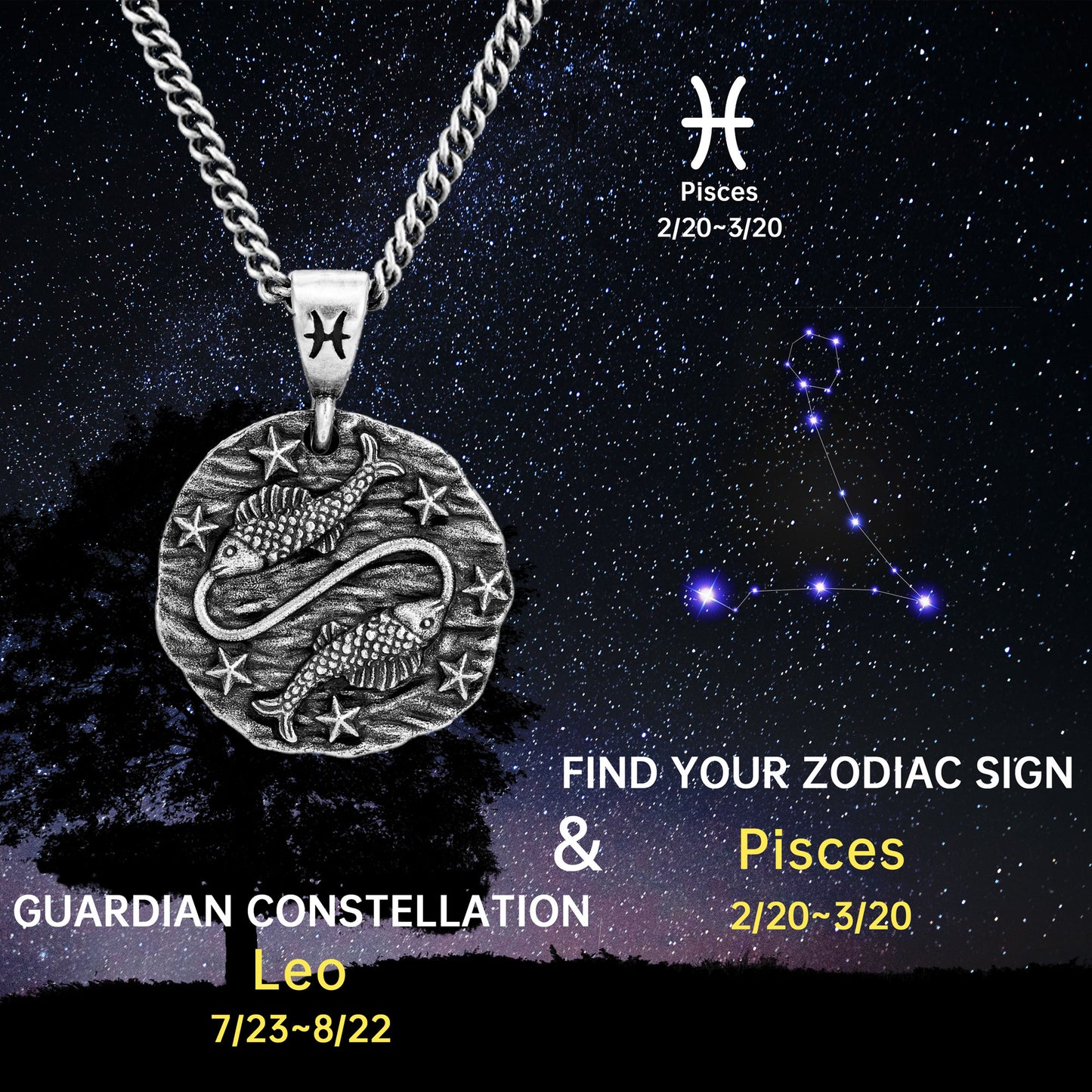 Amulets Necklace Of Pisces (2.20-3.20)